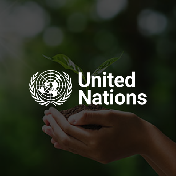 United_nations_sustainable_future_green_leaves_handful_soil